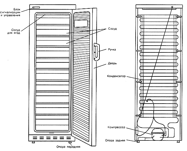 Устройство холодильника. Техническая схема морозильника 